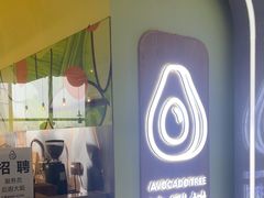 -油梨树AVOCADO TREE(望京店)