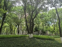 -重庆市江北嘴中央商务区中央公园