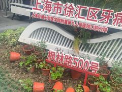 -上海市徐汇区口腔医院