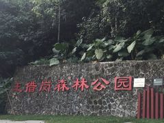 -王借岗森林公园