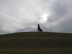 -春花秋色城市公园