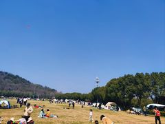 -羊山湖公园