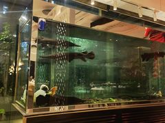 -衡山汇·高级粤菜(霄云路店)