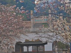 -苏州上方山国家森林公园