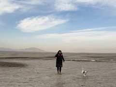 -观澜小洱海