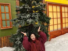 -湘江欢乐城欢乐雪域