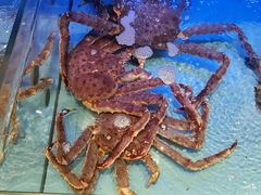 -阿伟海鲜楼·福建菜(延寿店)