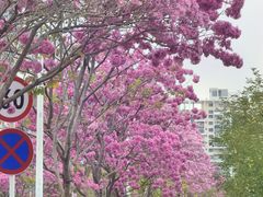 -万科前海企业公馆