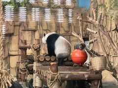 -泉州海丝野生动物世界