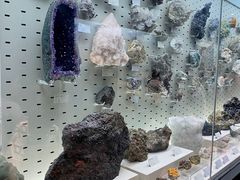 -浙江自然博物院(杭州馆)