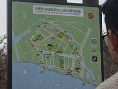 -合肥滨湖国家森林公园