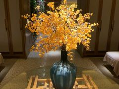 -浅深(北京北四环精品店)