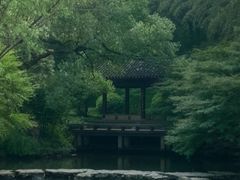 -杭州植物园