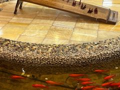 -恒坤北纬42度温泉洗浴(公园路店)