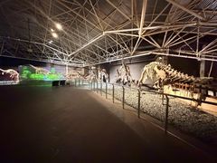 -世界恐龙谷景区