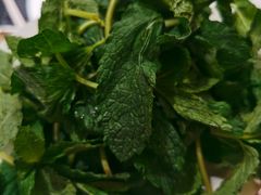 薄荷叶-颐和会馆