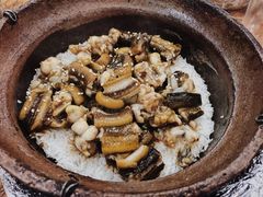 黄鳝田鸡煲仔饭-红星光发煲仔饭(大石街店)