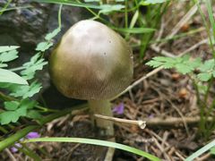 -新疆天山野生动物园