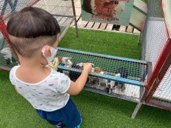 -萌宠亲子动物乐园(槐房万达店)