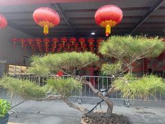 -上海财神庙
