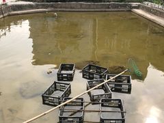 -香竹农庄•传统竹筒饭(十年店)