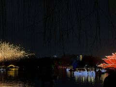 -洛阳市隋唐城遗址植物园
