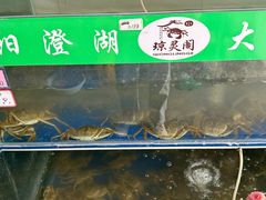 -阳澄湖大闸蟹·琼灵阁牌品牌连锁(吴中总店)
