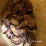为何女人爱吃腰果[抠鼻][抠鼻]