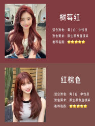 -东梵造型·烫发染发接发连锁SALON