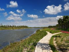 -春花秋色城市公园