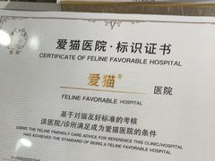-宠颐生宠物医院·异宠猫科内科·诊疗中心宠巢店