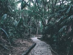 -三亚亚龙湾红树林度假酒店