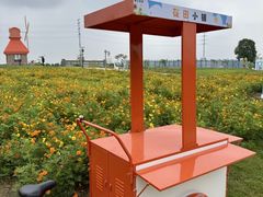 -杭州湾海上花田景区