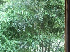 -鹿院坪生态旅游景区