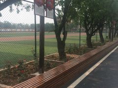 -天津霍元甲学校