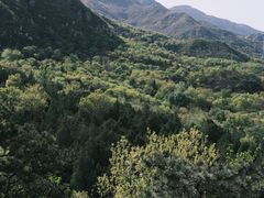-北京鹫峰国家森林公园