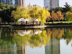 -陆家嘴中心绿地