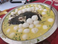 -柘林湖生态鱼馆