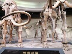 -大庆市博物馆