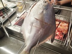 -老吕涮羊肉•东北原味烧烤•大油边•烤鱼(五角场店)