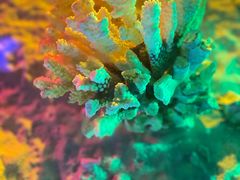 -石林冰雪海洋世界