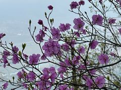 -九鼎铁刹山风景区