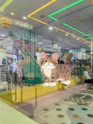 -奇乐城堡儿童主题乐园(公主坟店)