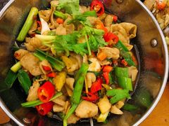 -白天鹅家宴·东北菜