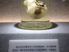 -唐山抗震纪念馆