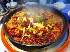 -老板恋上鱼(恒隆广场店)