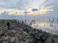 -南汇新城海滩