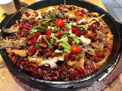 -老板恋上鱼(高新万达店)