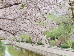 -海棠花溪(元大都城垣遗址公园)