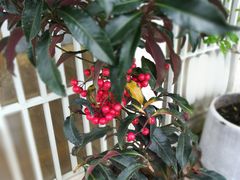 -茶庐(百花洲路店)